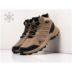 Зимние Ботинки Adidas Terrex Swift R3
