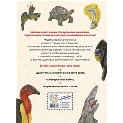 Эксмо Сэми Бэйли "Энциклопедия удивительных животных"