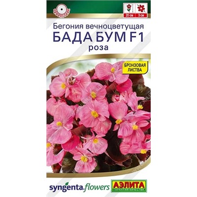 Бегония Бада Бум роза (Код: 93141)
