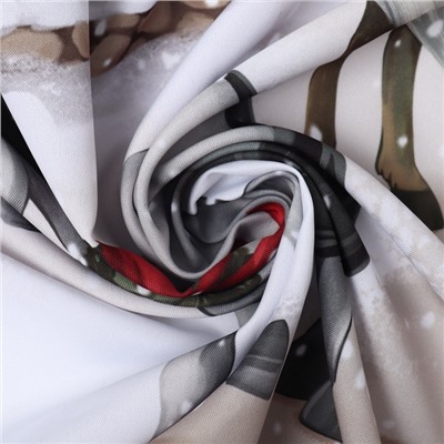 Шторы «Этель» Winter ranch, 145×260 см, комплект 2 шт., 140 г/м²