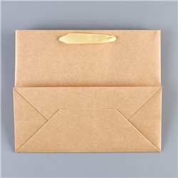 Пакет подарочный новогодний крафтовый с пластиковым окном Gold, 24×20×11 см