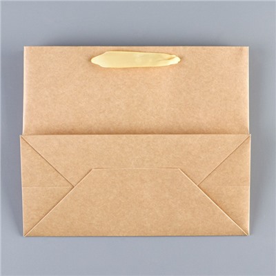 Пакет подарочный новогодний крафтовый с пластиковым окном Gold, 24×20×11 см