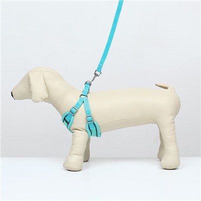 Комплект с мягкой шлейкой, быстросъемный, M, поводок 140 см, ОШ 44-48 ОГ 51-60 см, бирюзовый