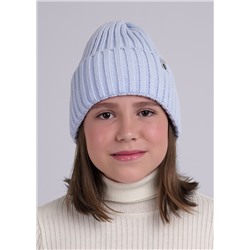 454903 CLEVER Шапка