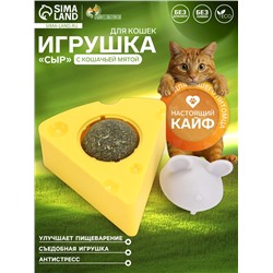 Игрушка для кошек из кошачьей мяты «Сыр» на основании, 5×4 см