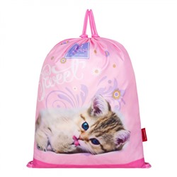 Рюкзак 23-490-15