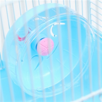 Клетка для грызунов «Пижон», 31×24×29 см, двухэтажная, с наполнением, пластик, металл, голубая