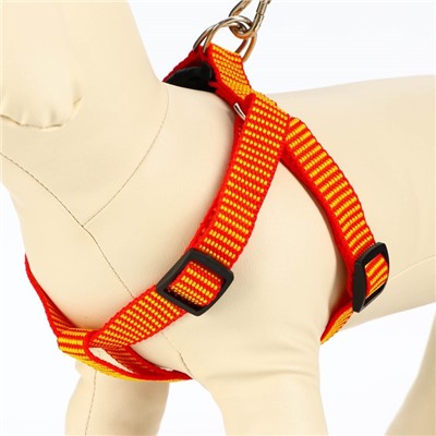 Комплект амуниции рельефный, 2 см, поводок 120 см, красно-жёлтый