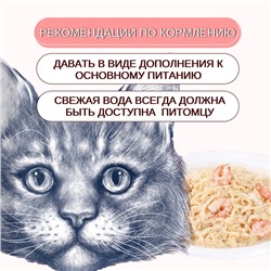 Wanpy Cat Пауч для кошек из курицы и креветок 85 г
