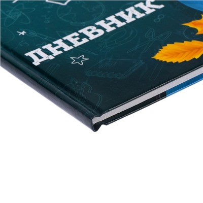 Дневник школьный для 1-11 классов, «Школа», твёрдая обложка 7БЦ, глянцевая ламинация, 40 листов