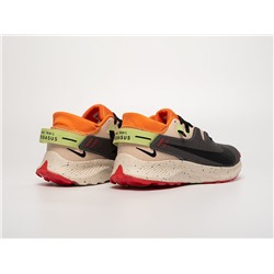 Кроссовки Nike Pegasus Trail 2