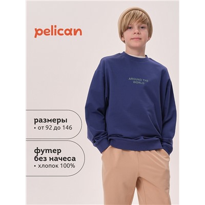BFN3371U (Толстовка для мальчика, Pelican )