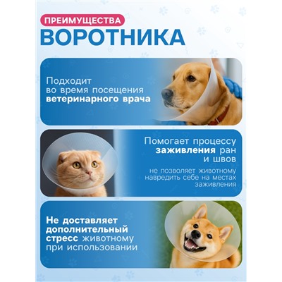 Ветеринарный воротник с креплением на ошейник, высота 7.5 см (без ошейника)