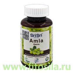 Шри Шри Таттва Амла 60 таб. БАД