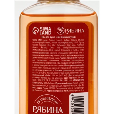 Подарочный набор новогодний: гель для душа 2 шт. × 100 мл, мочалка для тела, аромат мандарин и тыква, URAL LAB