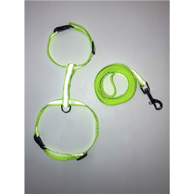 Комплект для кошек светоотражающий, ширина 1 см, шлейка 21-35 см, поводок 120 см, зелёный