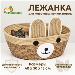 Экологичный лежак «Мишка» для животных (хлопок+рогоз), 40×30×15 см, вес до 15 кг