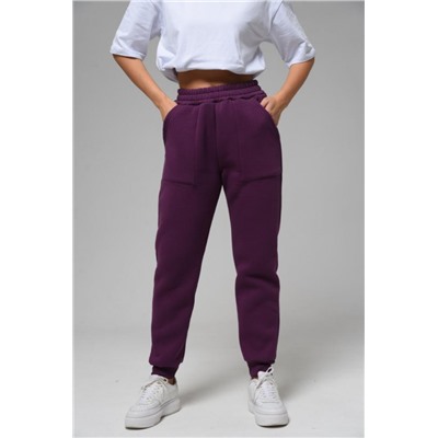 Брюки 8293 (Сливовый)