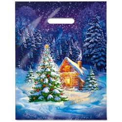 Пакет 31*40 Ночное Чудо Ламин. 7859