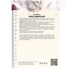 Корневище Ирис сибирский Диэ Дилайт, р-р I, 1 шт.