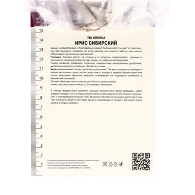 Корневище Ирис сибирский Диэ Дилайт, р-р I, 1 шт.