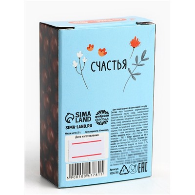 Шоколадные шарики «Ты чудо», 37 г