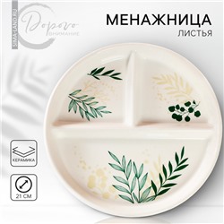 Тарелка для правильного питания гарвардская «Листья», 21 см