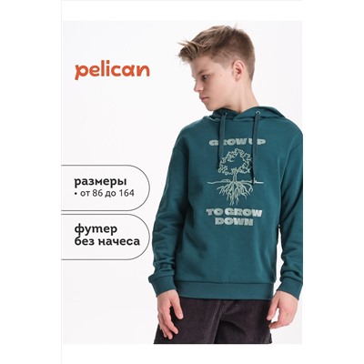Худи PELICAN, 1104427