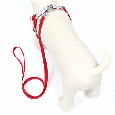 Комплект Sport+, S, поводок 120×1.5 см, ОШ 39-41 см, ОГ 44-48 см, вес животного 7-13 кг, красный