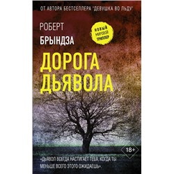 АСТ Роберт Брындза "Дорога дьявола"