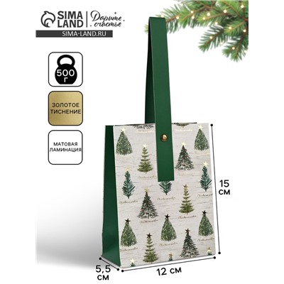Пакет подарочный новогодний ламинированный «Новогодние мечты», S 5.5 см × 15 см × 12 см