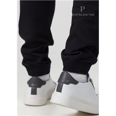 PDB-251 (Брюки мужские, PanteLemone )