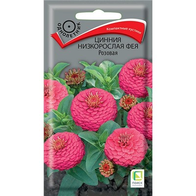 Цинния Фея розовая (Код: 84397)