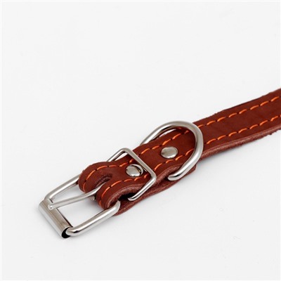 Ошейник кожаный однослойный безразмерный, 45×2 см, ОШ 18-39 см, коричневый