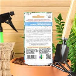 Семена огурец «Маленький Проказник F1», 8 шт.