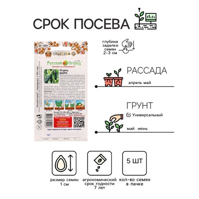 Семена Огурец Бьерн F1 5 шт