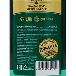Подарочный набор новогодний «Волшебные истории», гель для душа 300 мл и лосьон для тела 85 мл, URAL LAB