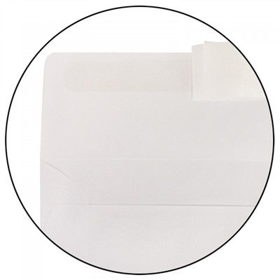 Конверт 110х220 мм евростандарт отрывная лента/чистый Е65 70574 LITE