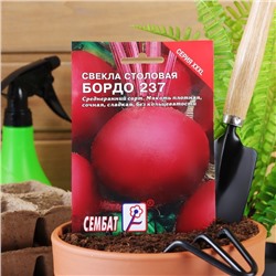 Семена Свекла «Бордо 237», XXXL, «Сембат», 7 г