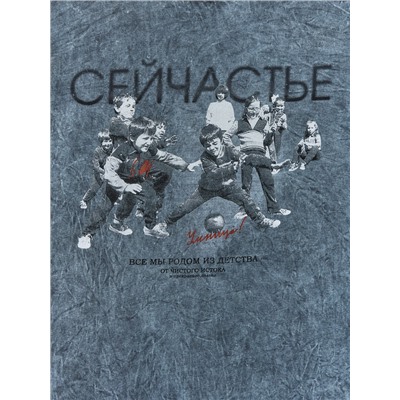 ФУТБОЛКА МУЖСКАЯ 111858