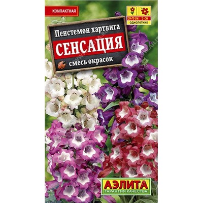 Пенстемон Сенсация смесь окрасок (Аэлита)