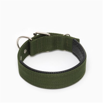 Ошейник «Комфорт», 60×4 см, ОШ 44-54 см, комбинированный, полиэстер, искусственная кожа, зелёный