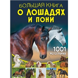 АСТ Спектор А.А. "Большая книга о лошадях и пони. 1001 фотография"