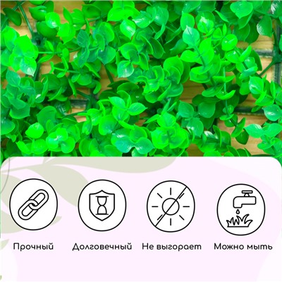 Декоративная панель, 60×40 см, «Самшит», Greengo