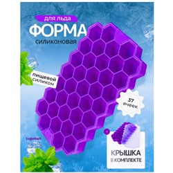 Форма для приготовления фруктового льда с крышкой