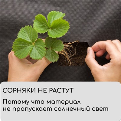 Материал мульчирующий, 10 × 3,2 м, плотность 60 г/м², спанбонд с УФ-стабилизатором, чёрный, Greengo, Эконом 30%