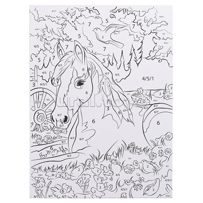 Раскраска по номерам 17х23 см "Лошадка в поле"