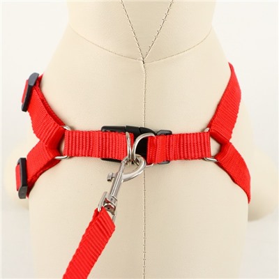 Комплект «Базис», поводок 120×1.5 см, шлейка 32-46×1.5 см, красный