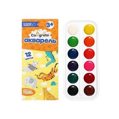 Акварель Calligrata, 12 цветов, без кисти, картон, МИКС