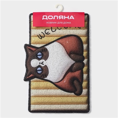 Коврик придверный Доляна «Котик», ПВХ, 40×60 см